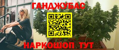 мдпв Долгопрудный