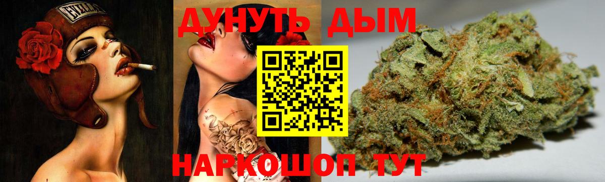Выборг  Бошки Шишки планчик  Вход с VPN  Бошки Шишки Bruce Banner  Каннабис VHQ 